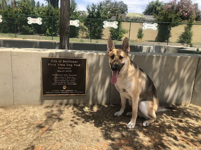 Flora Vista Dog Park 7
