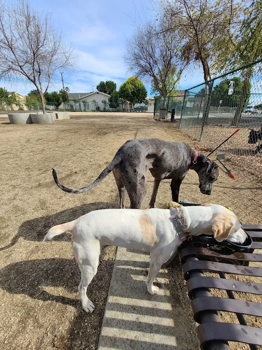 Flora Vista Dog Park 8