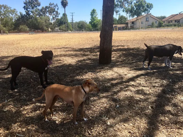 Wrigley Heights Dog Park 8