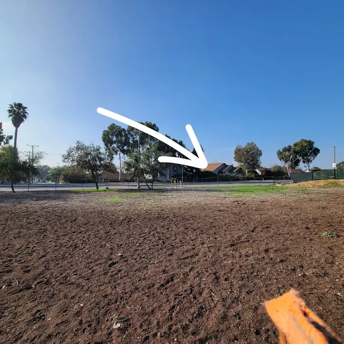 Wrigley Heights Dog Park 5