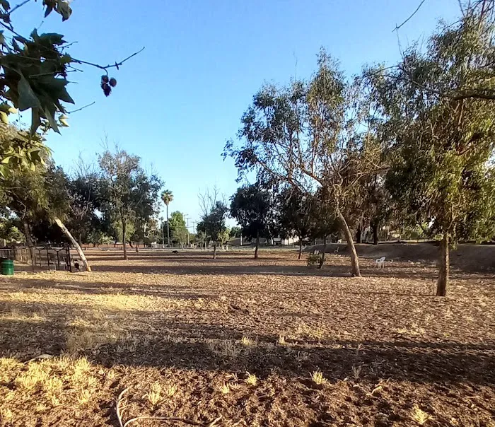 Wrigley Heights Dog Park 4
