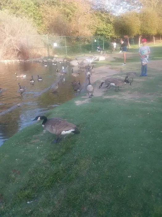 Polliwog Park Dog Park 1
