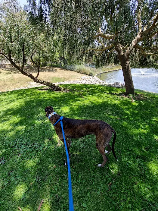 Polliwog Park Dog Park 7