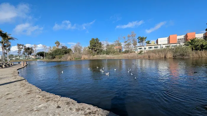 Polliwog Park Dog Park 6