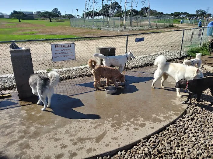 Redondo Beach Dog Park 9