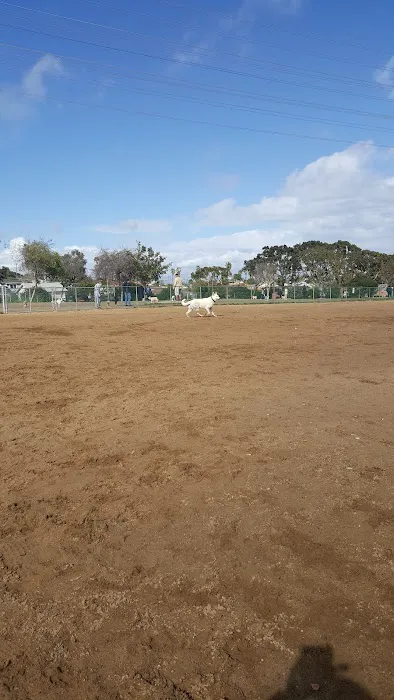 Redondo Beach Dog Park 7