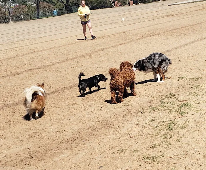 Redondo Beach Dog Park 3