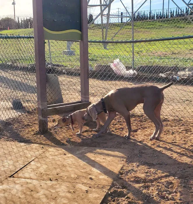Redondo Beach Dog Park 10