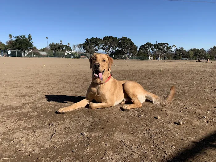 Redondo Beach Dog Park 8