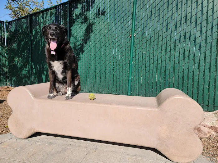 Signal Hill Dog Park 8