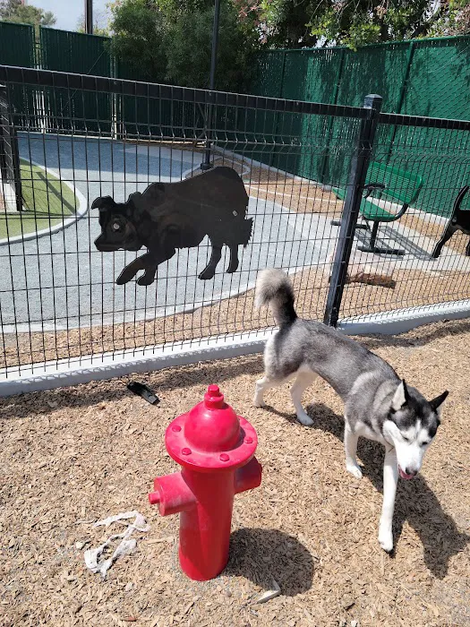 Signal Hill Dog Park 4