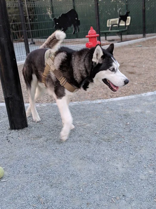 Signal Hill Dog Park 7