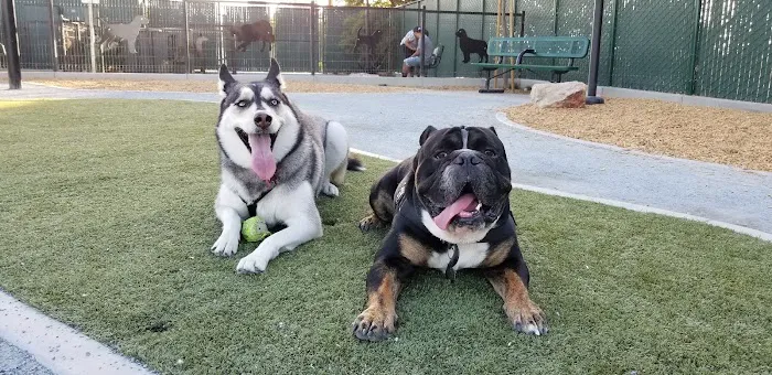 Signal Hill Dog Park 3