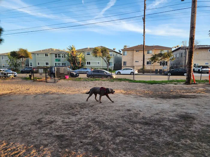 El Segundo Dog Park 6