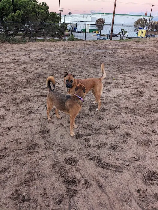 El Segundo Dog Park 3