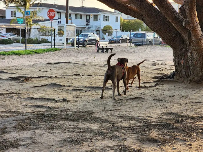 El Segundo Dog Park 10
