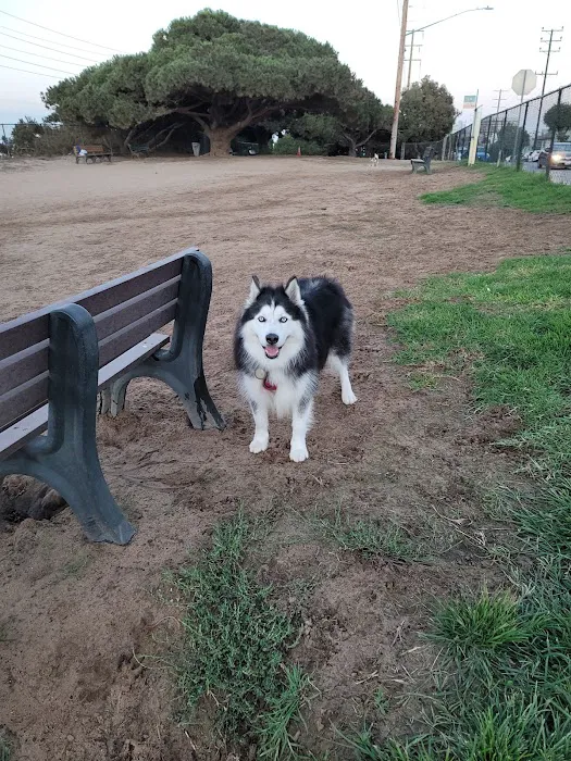 El Segundo Dog Park 1
