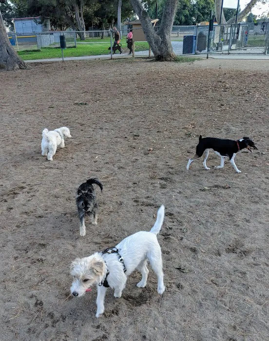 Home Run Dog Park 6
