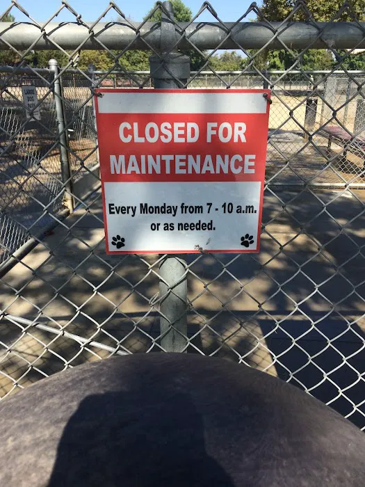 Home Run Dog Park 7