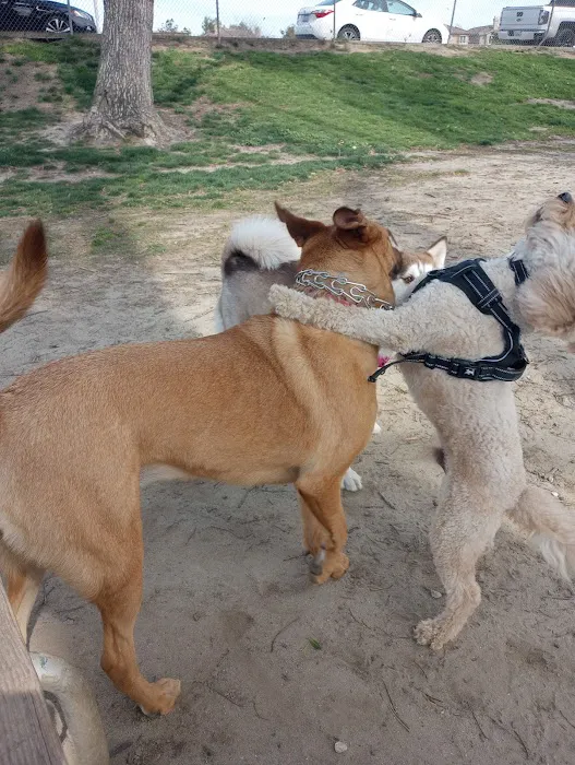 Home Run Dog Park 1