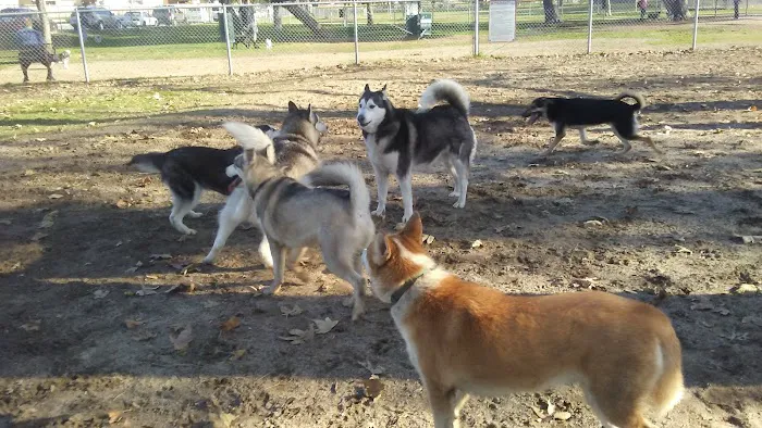 Home Run Dog Park 2