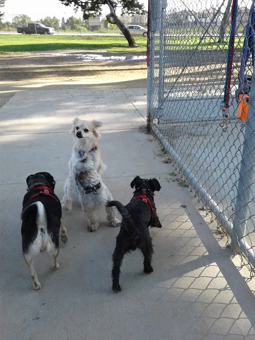 Home Run Dog Park 3