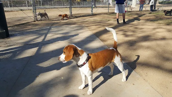 Home Run Dog Park 5