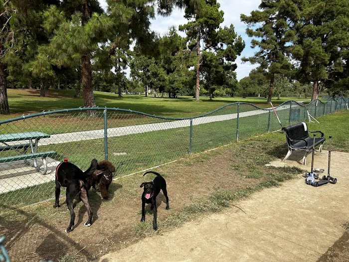 El Dorado Park Dog Park 8