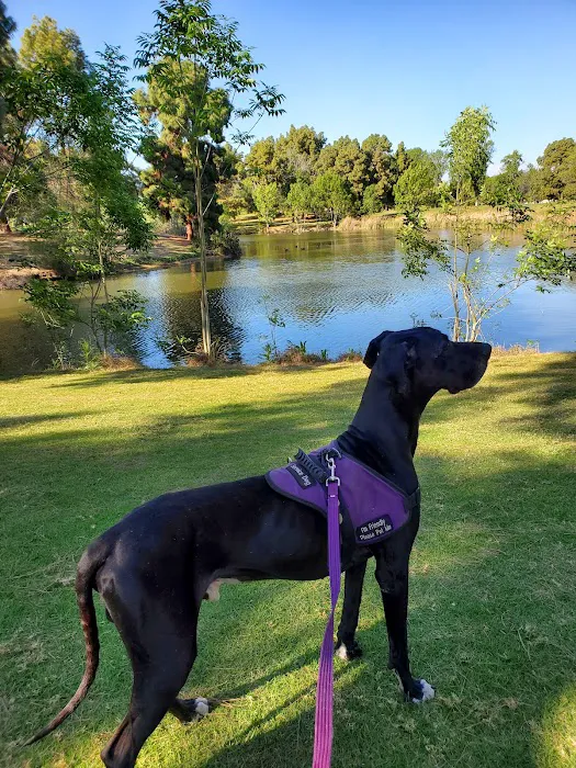El Dorado Park Dog Park 7