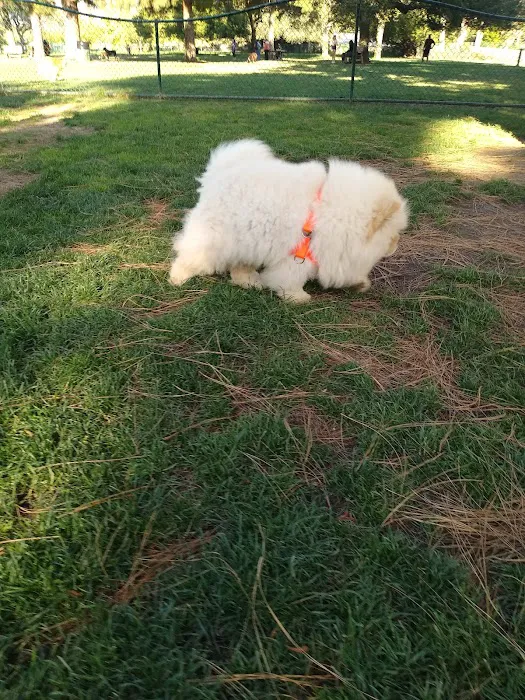 El Dorado Park Dog Park 3