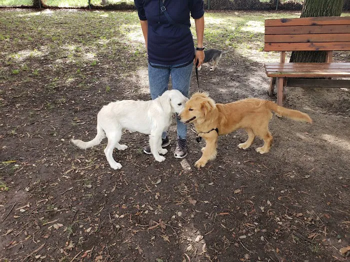 El Dorado Park Dog Park 10