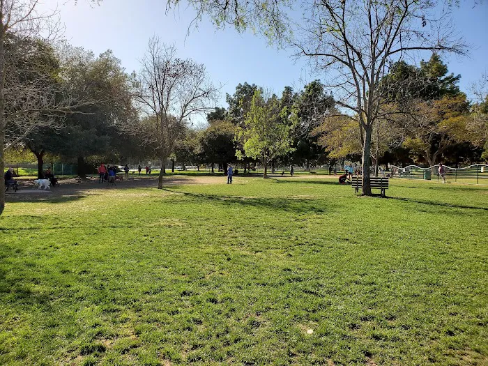 El Dorado Park Dog Park 4