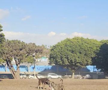 Westminster Dog Park