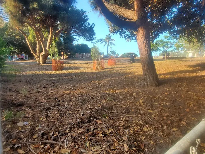Westminster Dog Park 3