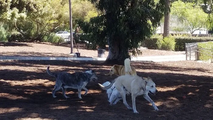 Herb Katz Dog Park 1