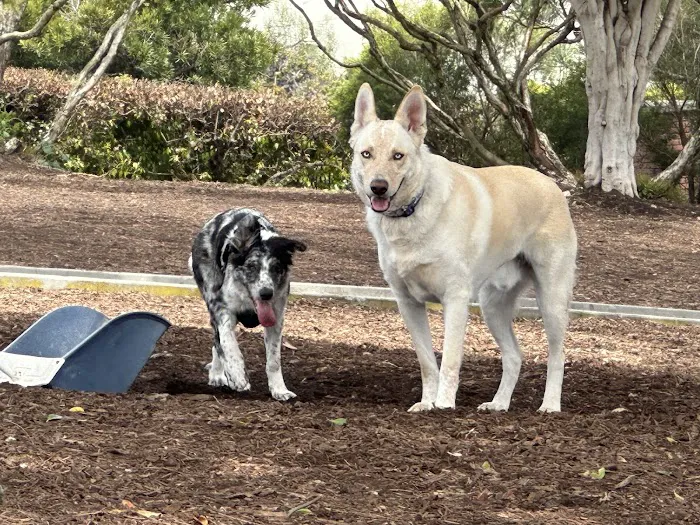Herb Katz Dog Park 8