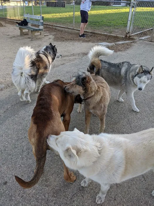 Herb Katz Dog Park 3