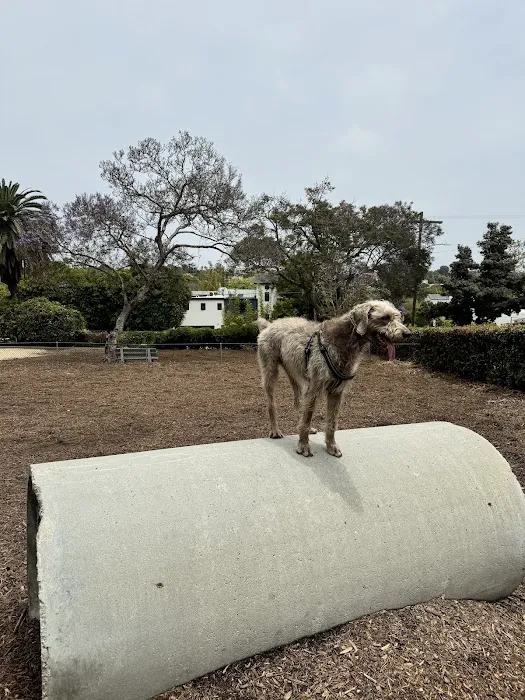 Herb Katz Dog Park 10