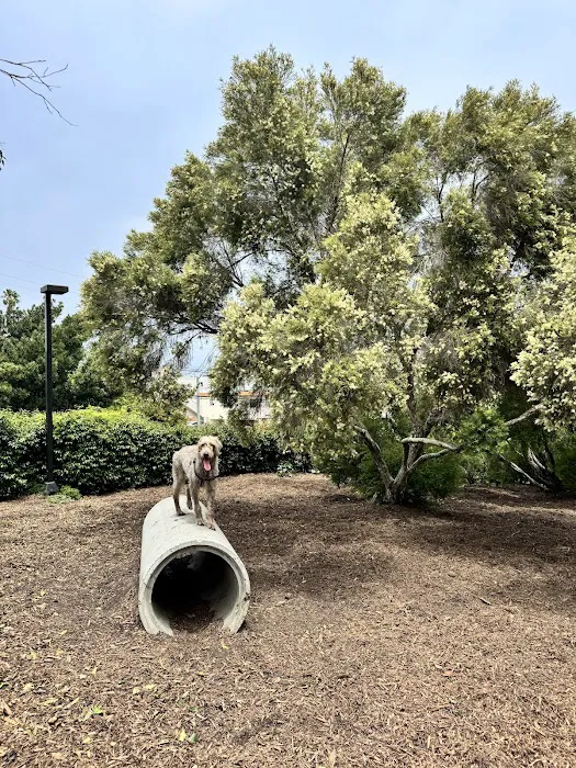 Herb Katz Dog Park 9