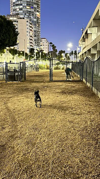 Seaside Dog Zone 4