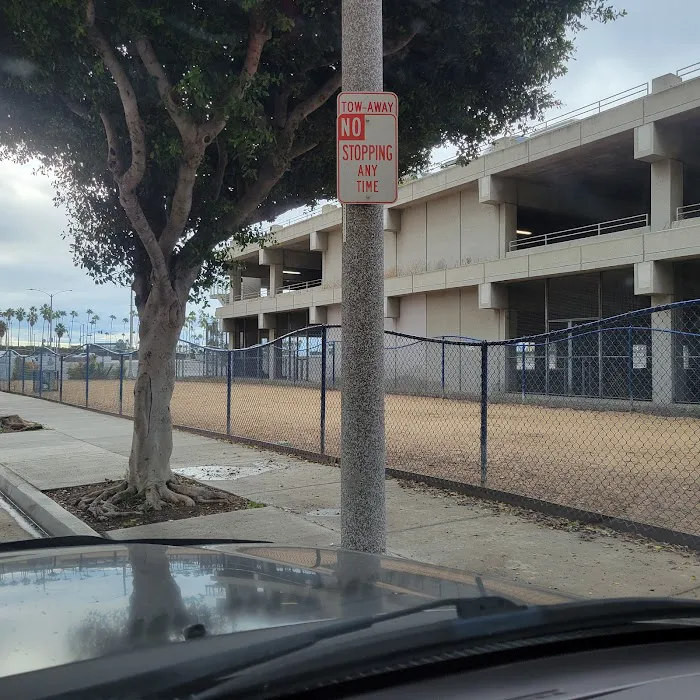 Seaside Dog Zone 10