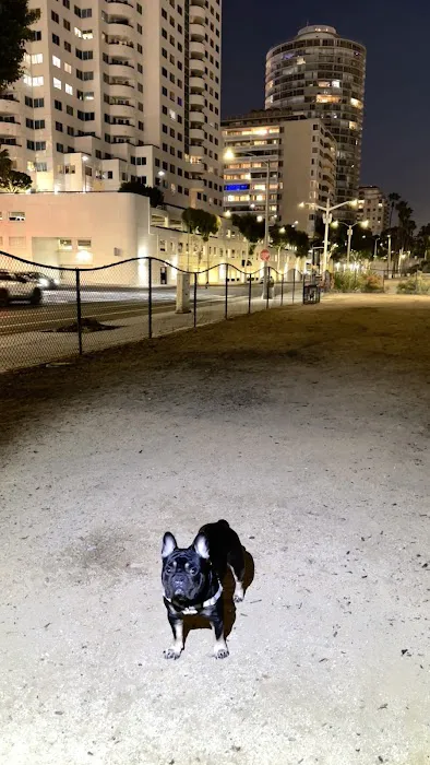 Seaside Dog Zone 2