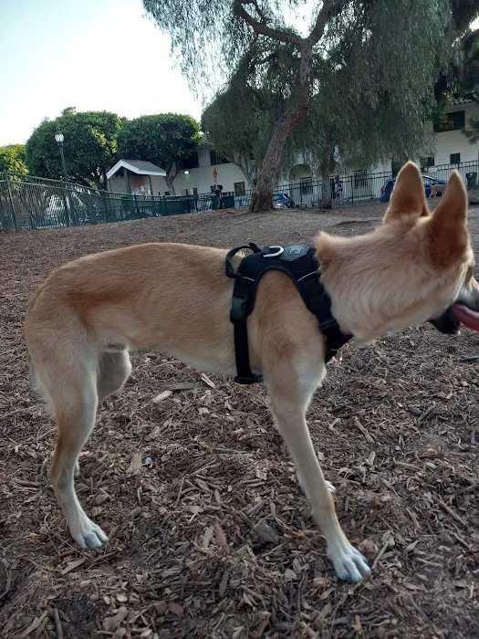 Bixby Dog Park 1