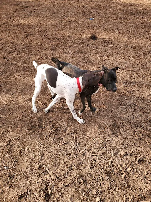 Bixby Dog Park 9