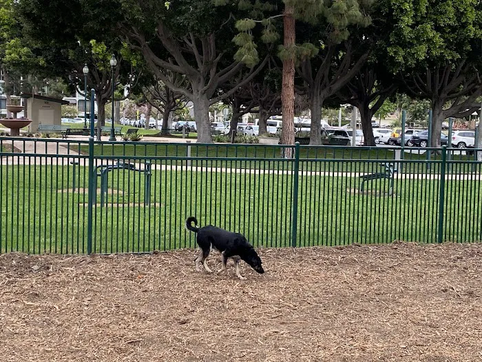Bixby Dog Park 8