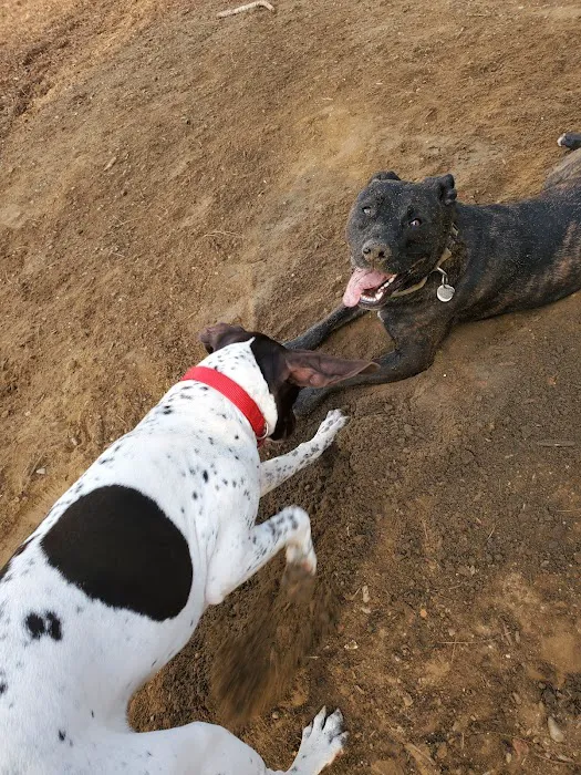 Bixby Dog Park 10