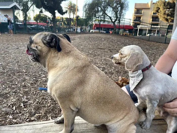 Bixby Dog Park 7