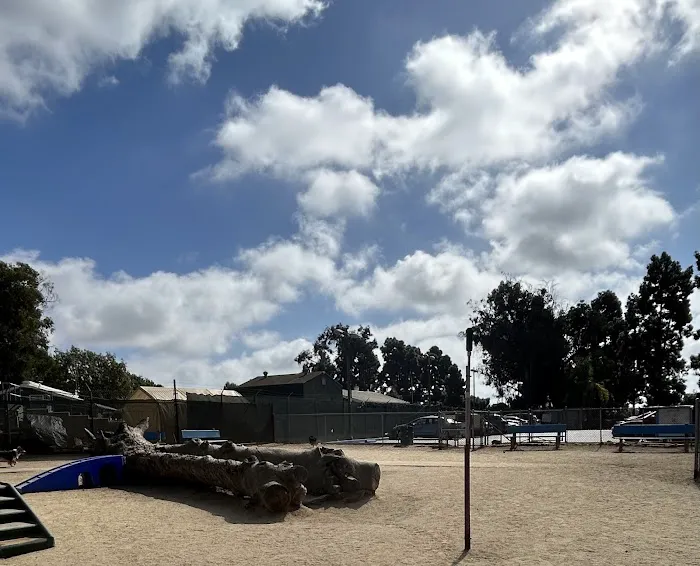 Recreation Dog Park 1