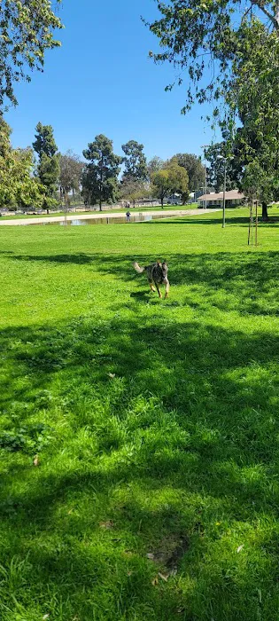 Recreation Dog Park 3