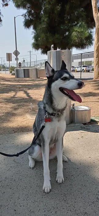 LEXI'S COMMUNITY DOG PARK 9
